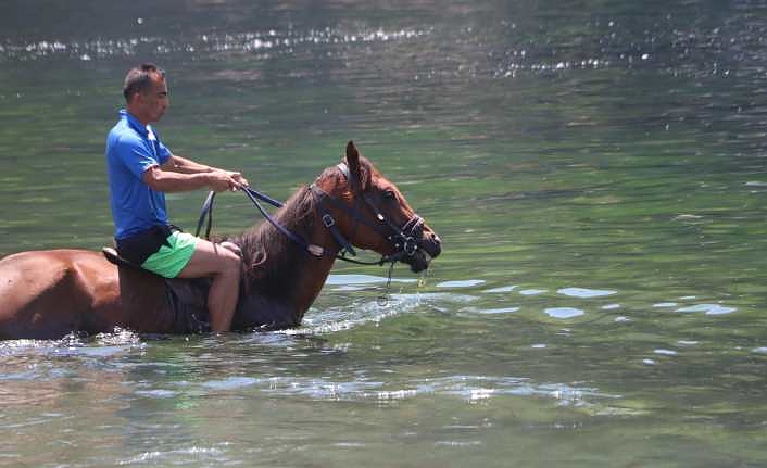 Bunaltıcı sıcakta yarış atıyla denizin tadını çıkarttı!