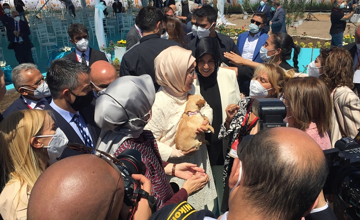Emine Erdoğan ses telleri kesilen köpeği Yonca Evcimik’e emanet etti